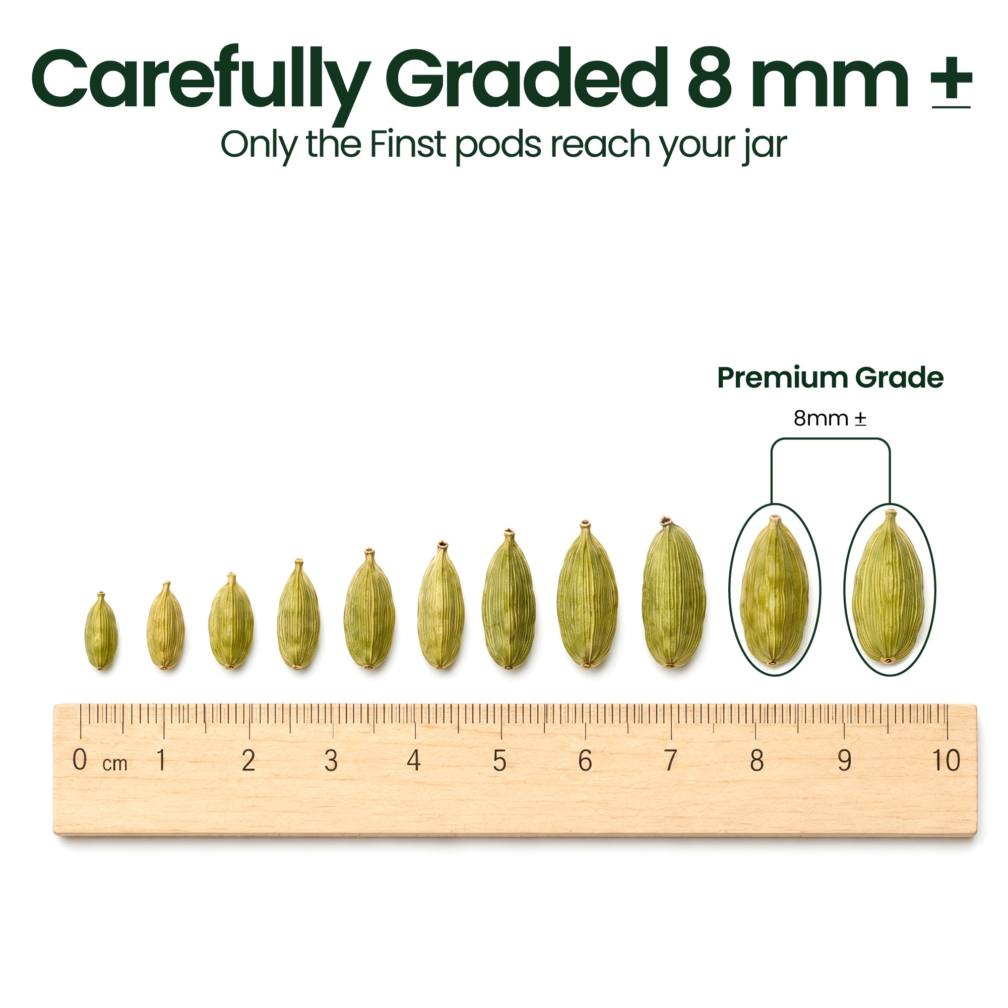 Premium Green Cardamom (Elaichi)