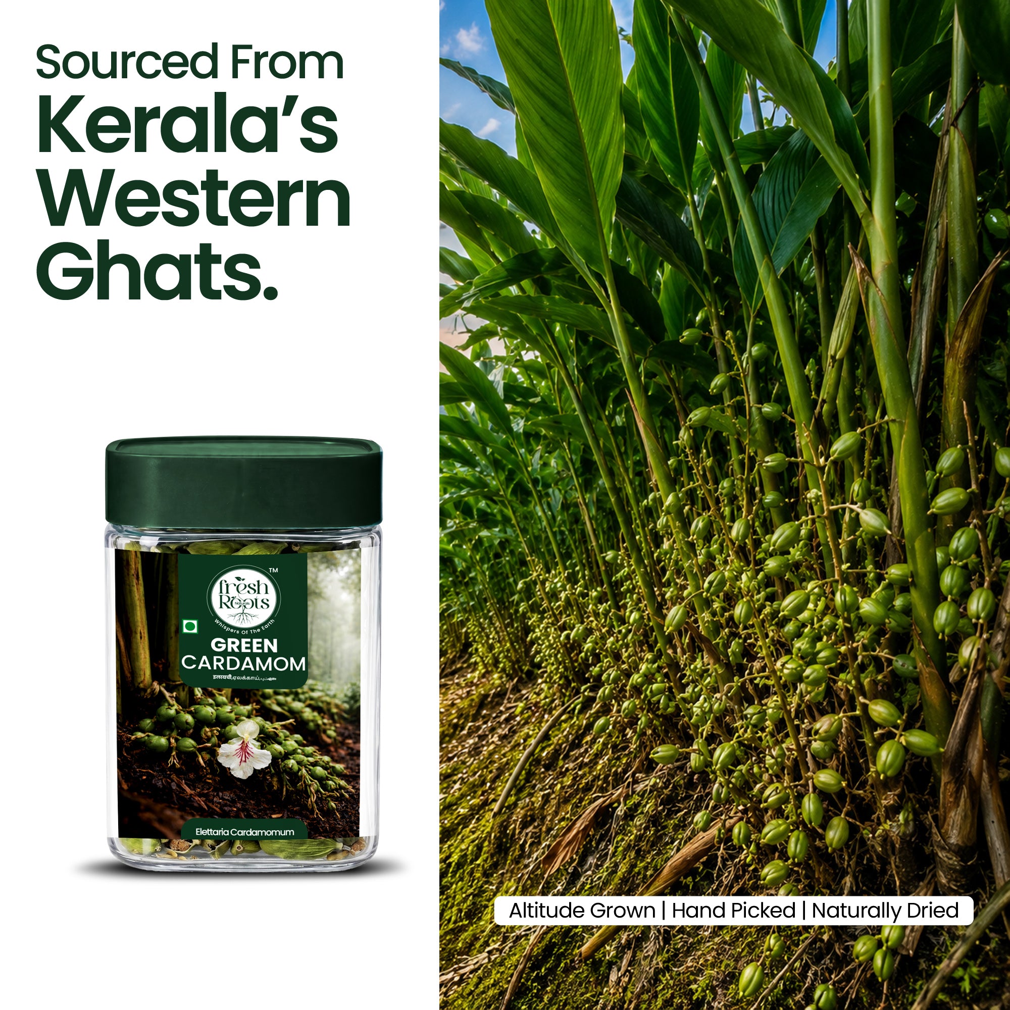 Premium Green Cardamom (Elaichi)