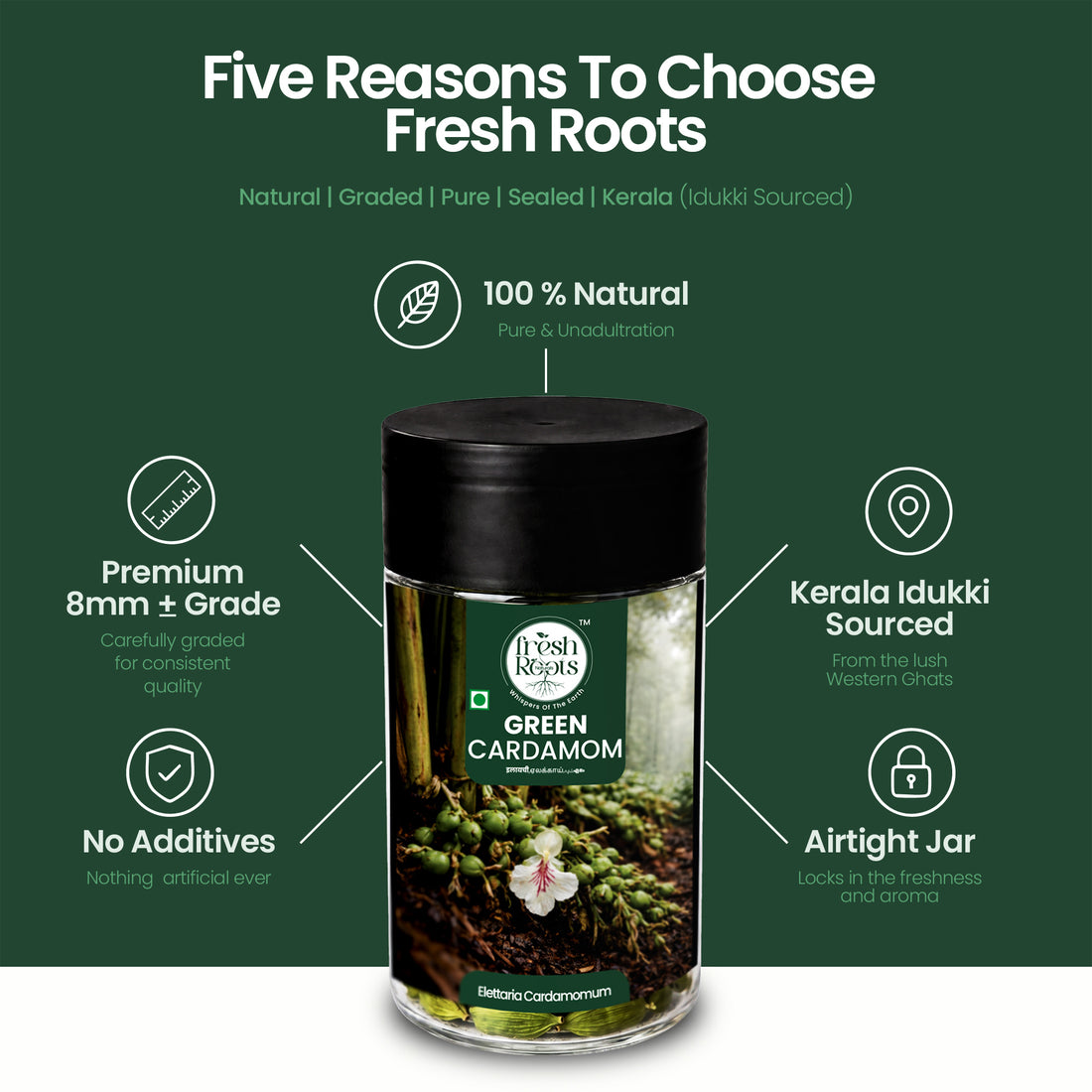 Premium Green Cardamom (Elaichi)