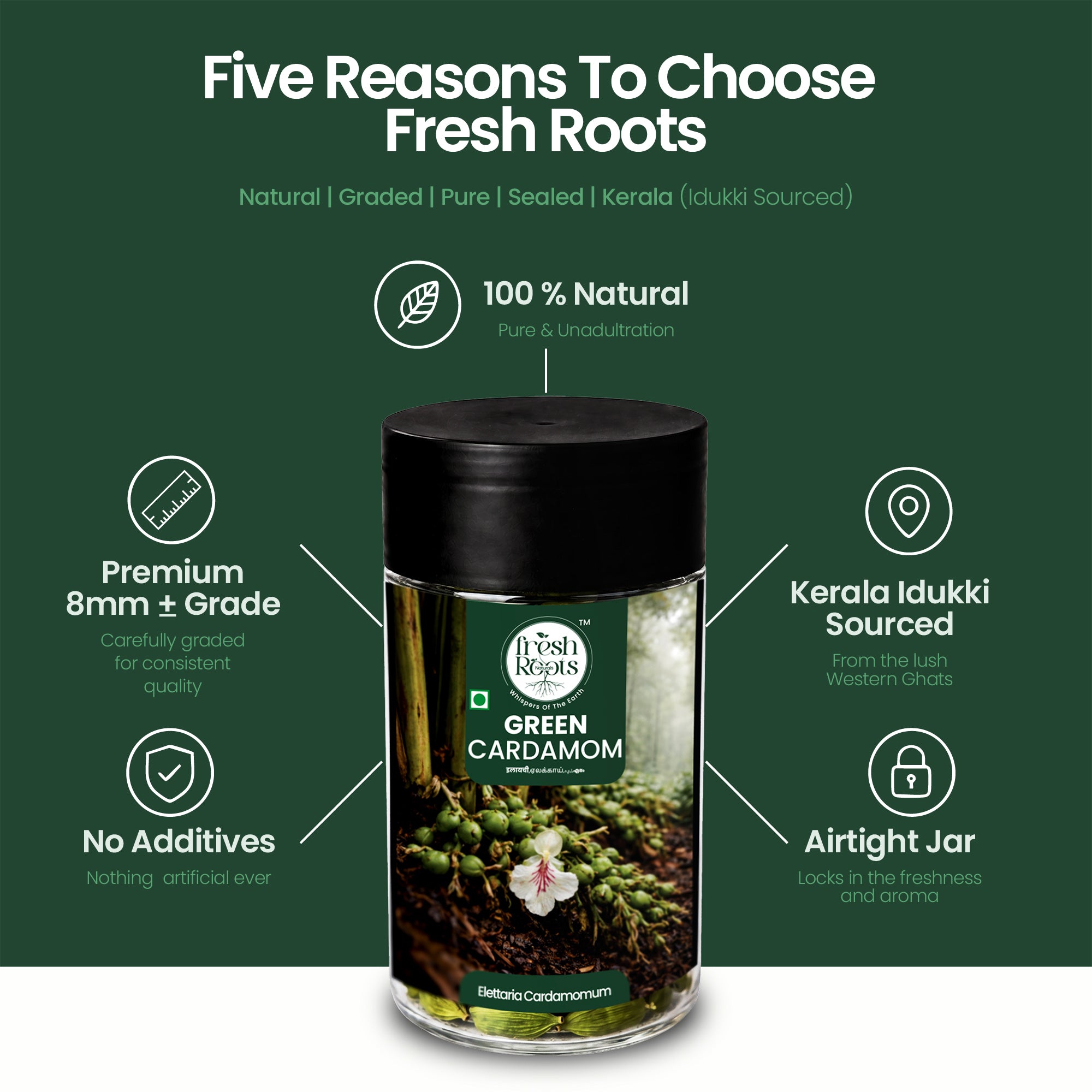 Premium Green Cardamom (Elaichi)