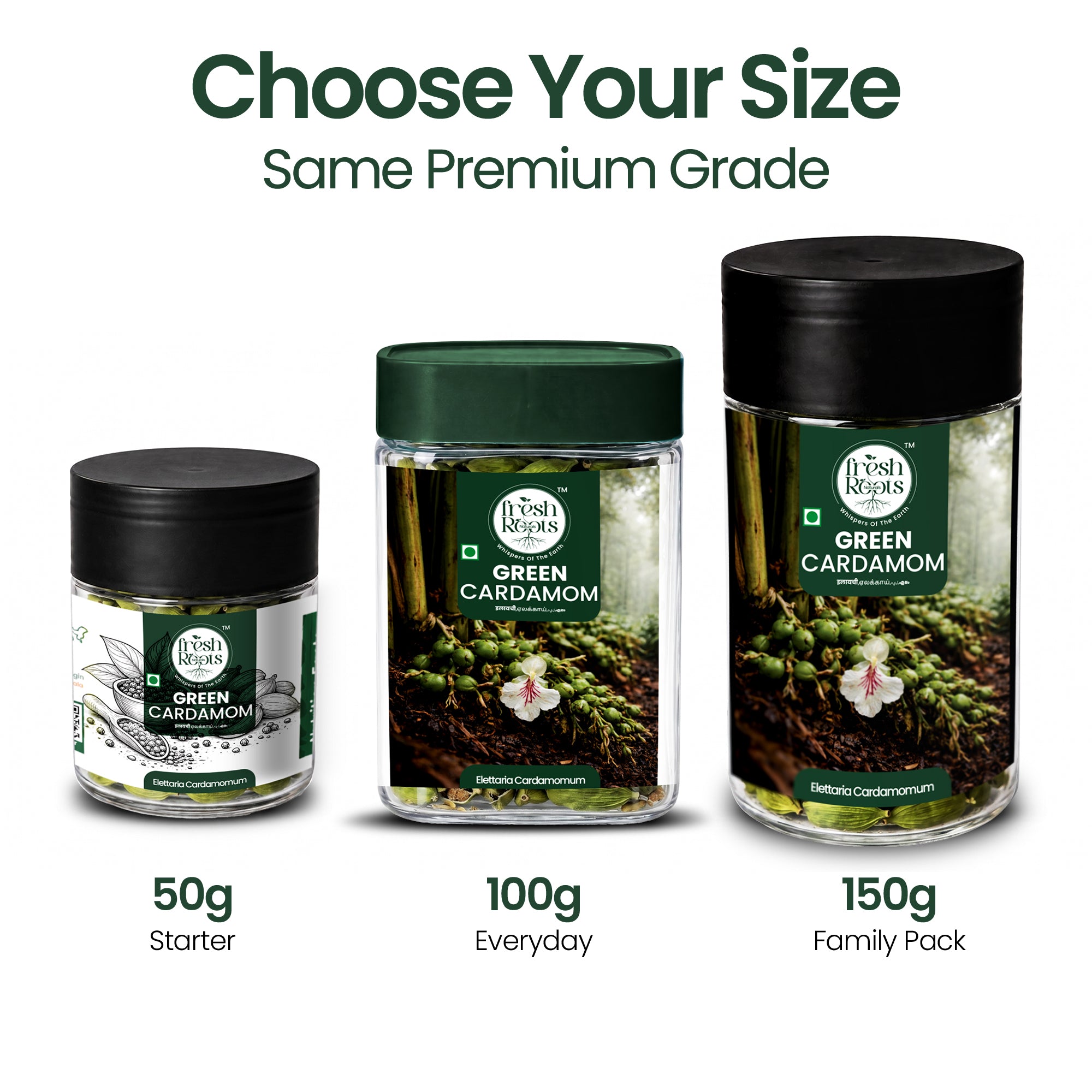 Premium Green Cardamom (Elaichi)