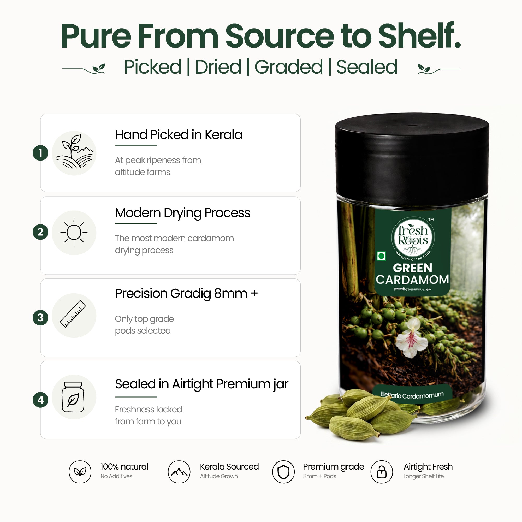 Premium Green Cardamom (Elaichi)