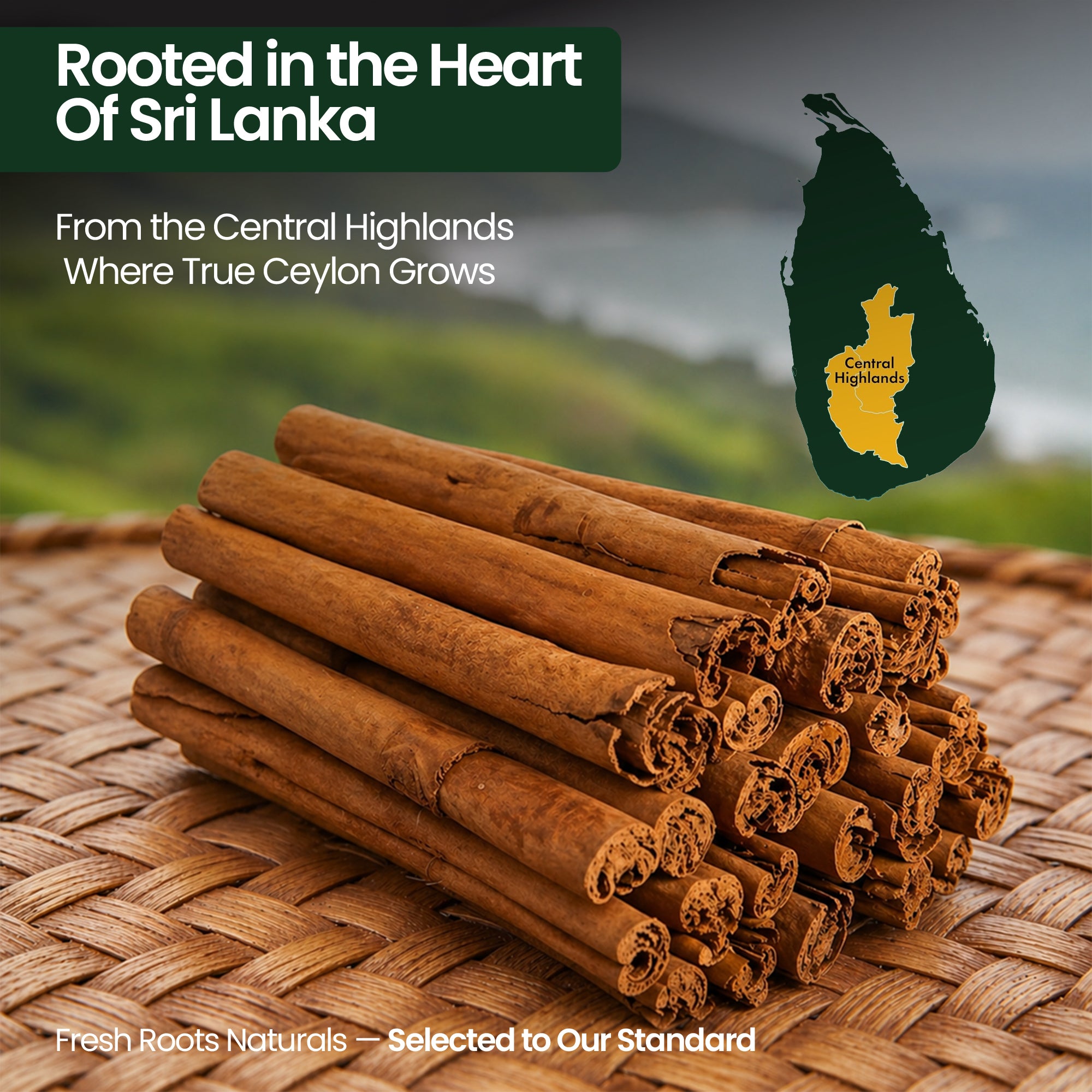 Ceylon Cinnamon Rolls (Sri Lanka)