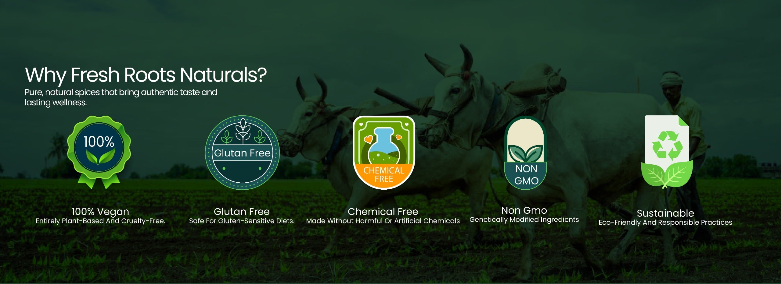 slider image slider_item_mhhdwB